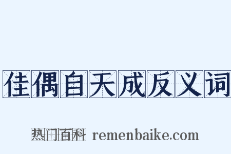 佳偶自天成反义词是什么意思的图片